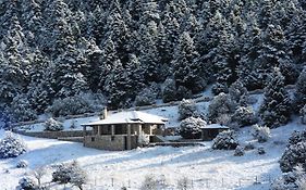 Panorama Balcony•Mountain Chalet•Manor House